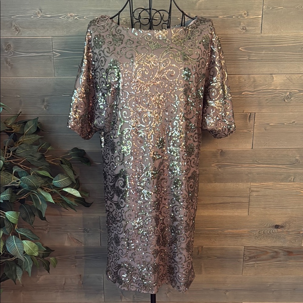 Scarlet scoop neck, short sleeve gray sequin dress